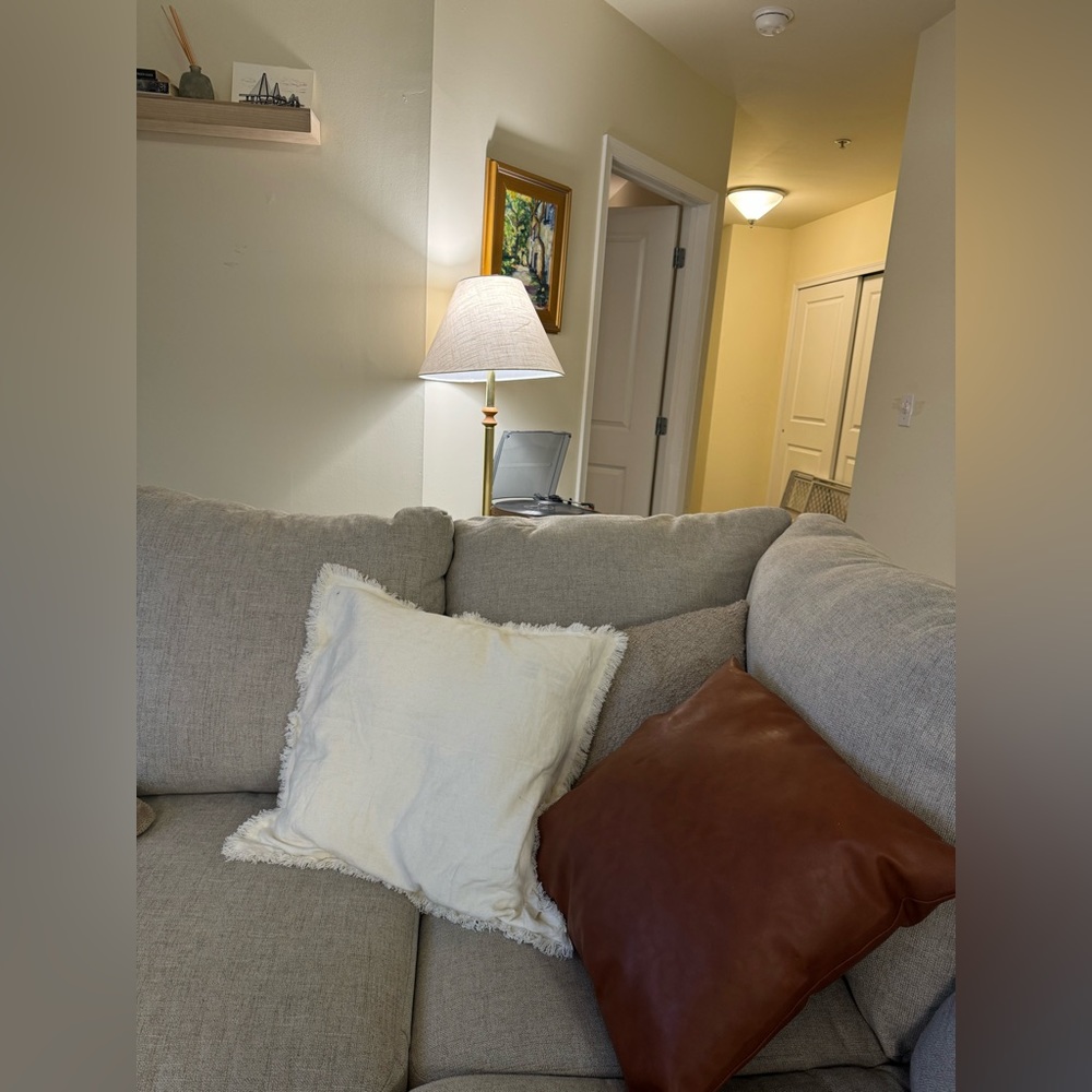 Selling each throw pillow for $10